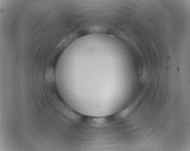 X0000074320478200609152036