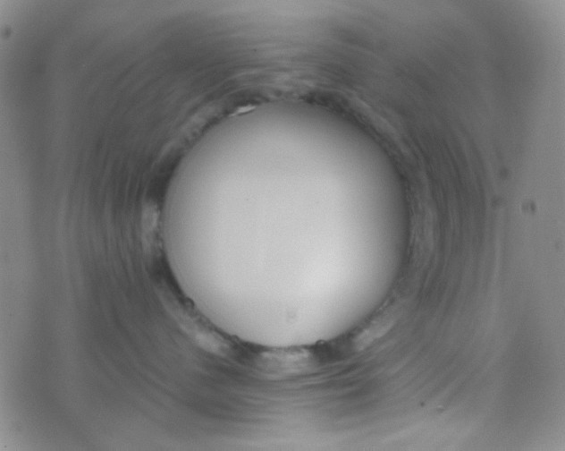 X0000074320480200609152036