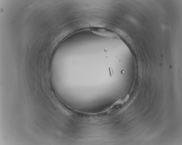 X0000074320481200609152036