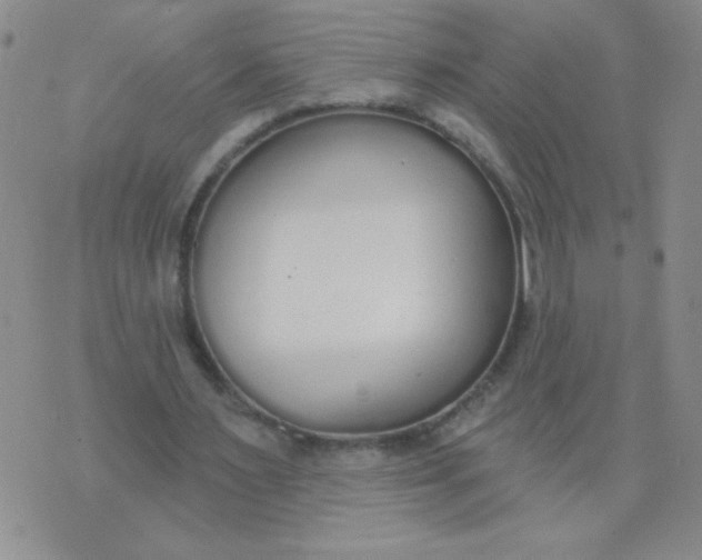 X0000074320483200609152036