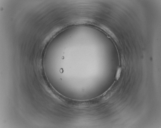 X0000074320485200609152036