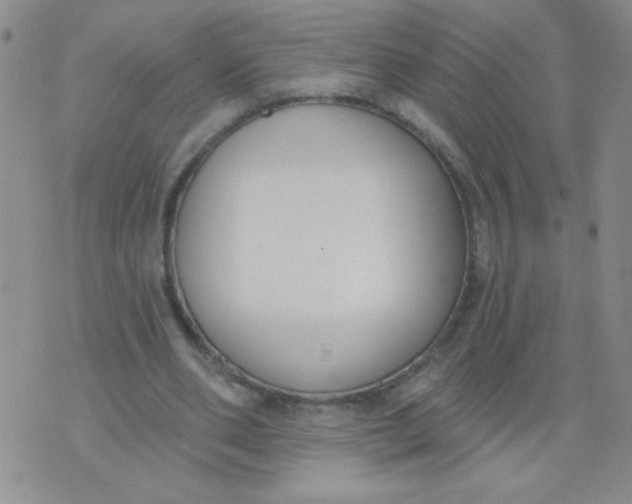 X0000074320486200609152036