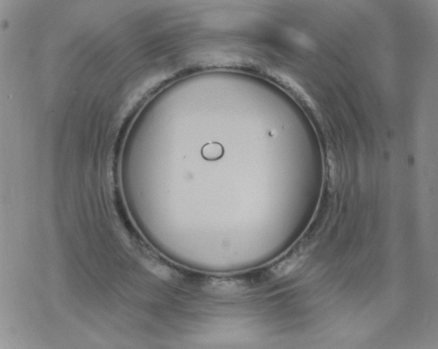 X0000074320487200609152036