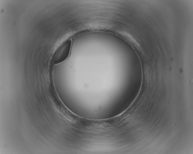 X0000074320488200609152036