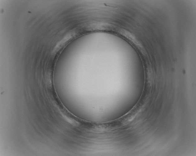 X0000074320489200609152036