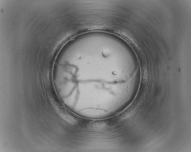 X0000074320491200609152036