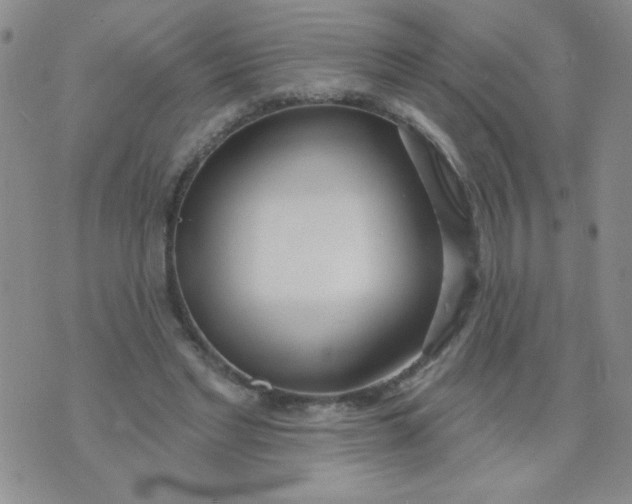 X0000074320493200609152036