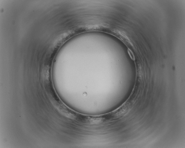 X0000074320495200609152035