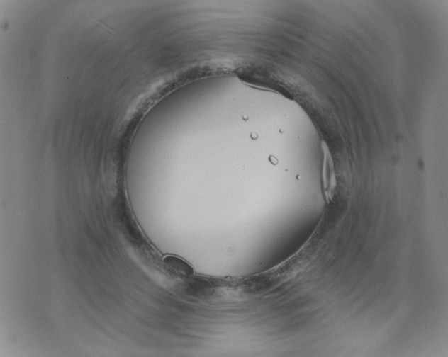 X0000074320496200609152035