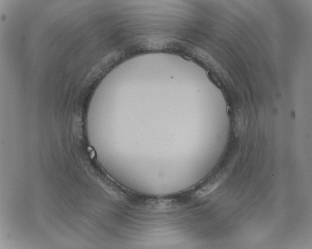 X0000074320497200609152035