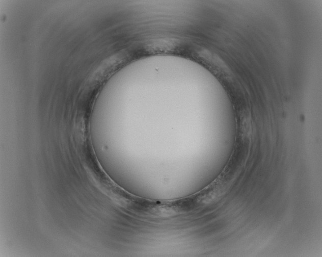 X0000074320498200609152035