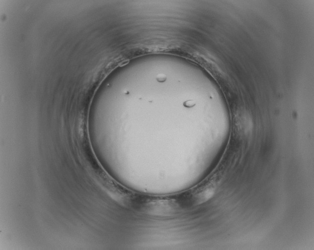 X0000074320499200609152035