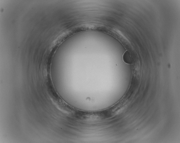 X0000074320500200609152035