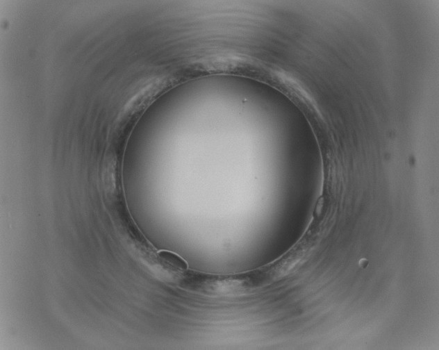 X0000074320501200609152035