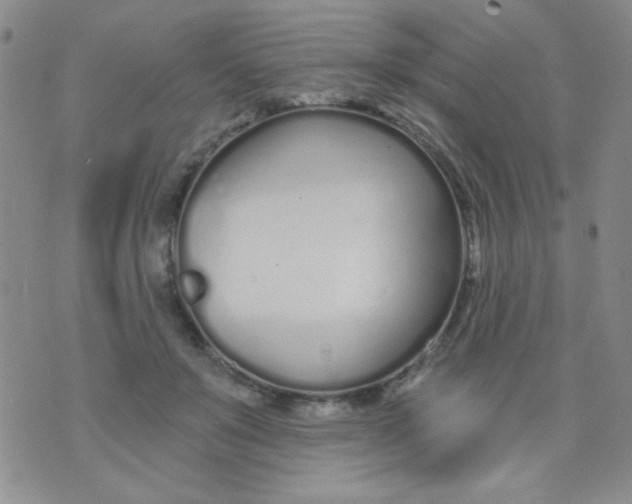 X0000074320503200609152035