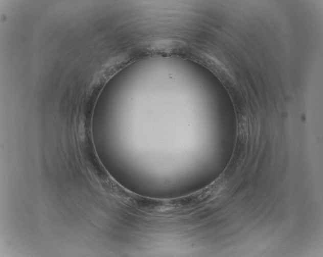 X0000074320504200609152035