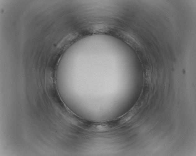 X0000074320506200609152035