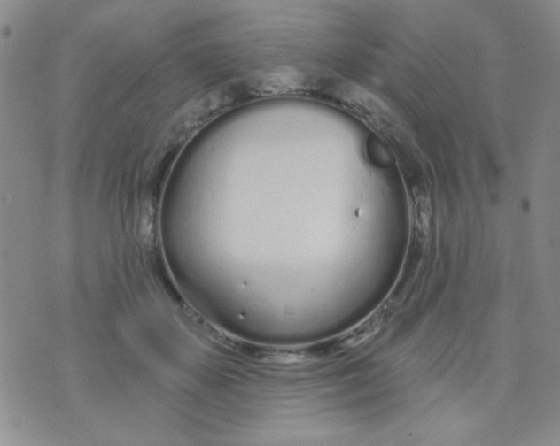 X0000074320507200609152035