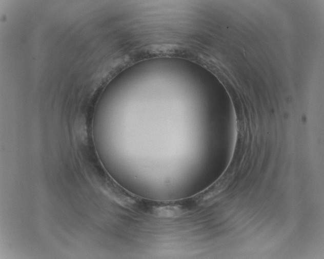 X0000074320508200609152035