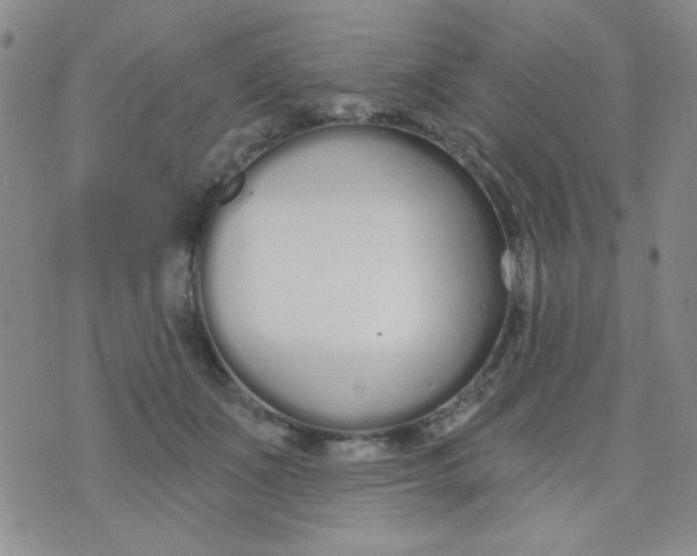 X0000074320511200609152035