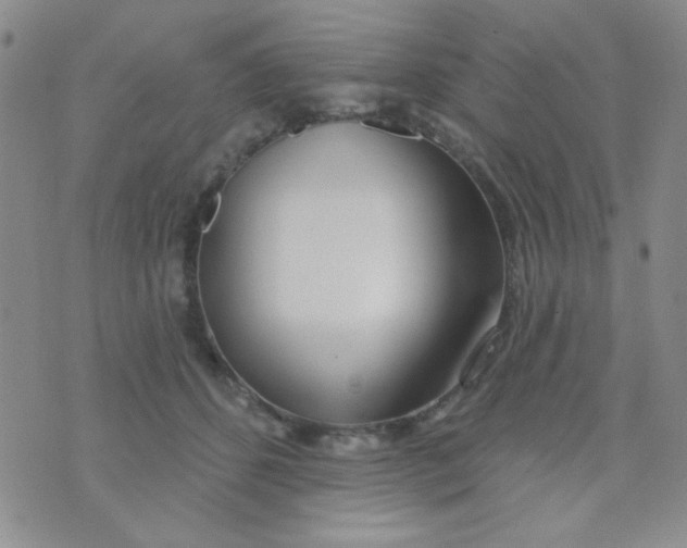 X0000074320512200609152035