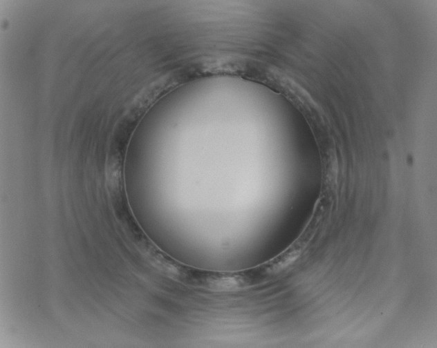 X0000074320513200609152035