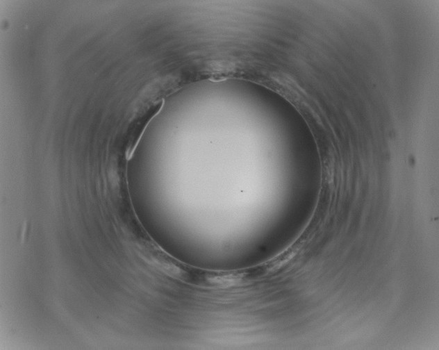 X0000074320516200609152035