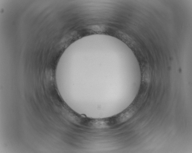 X0000074320518200609152035