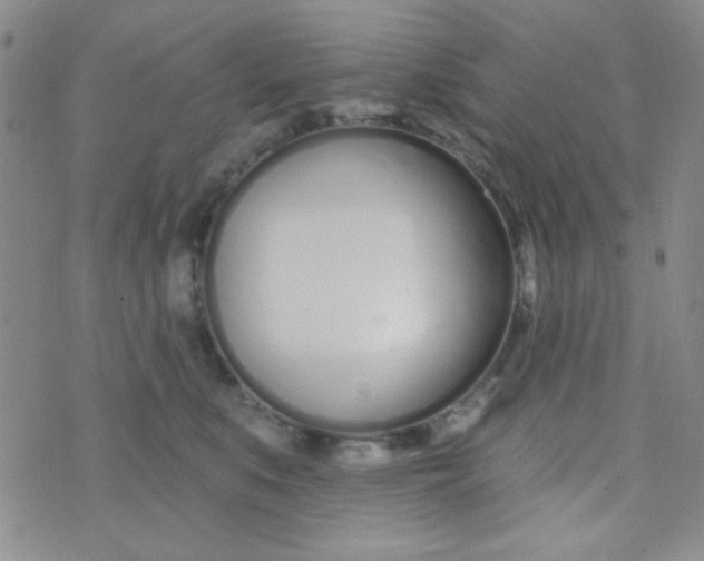 X0000074320519200609152035