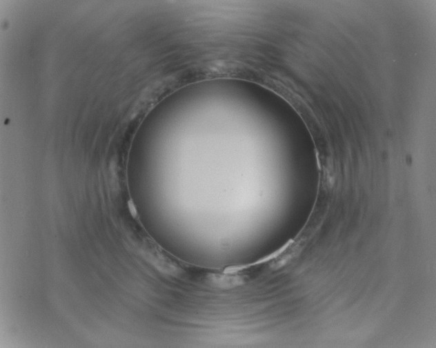 X0000074320520200609152035