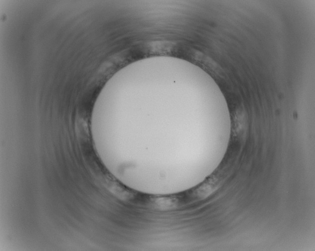 X0000074320522200609152035