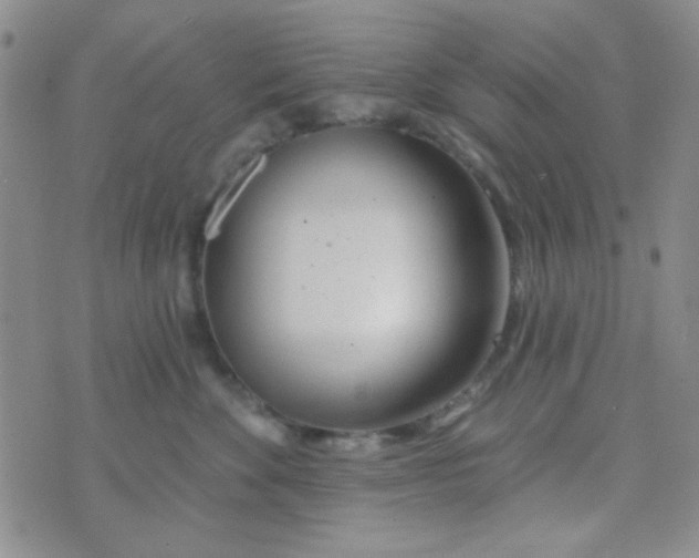 X0000074320524200609152035