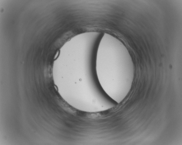 X0000074320525200609152035