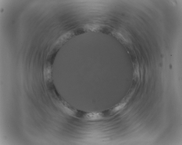 X0000074320526200609152035