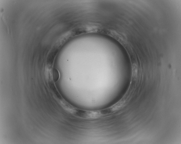 X0000074320527200609152035