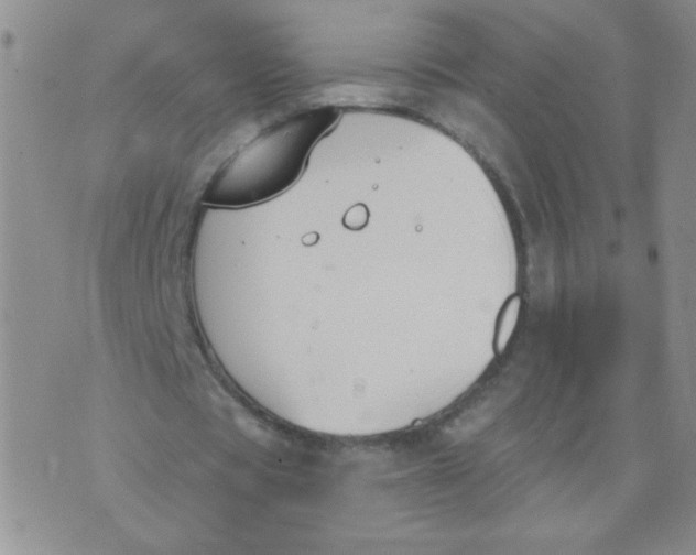 X0000074320529200609152034