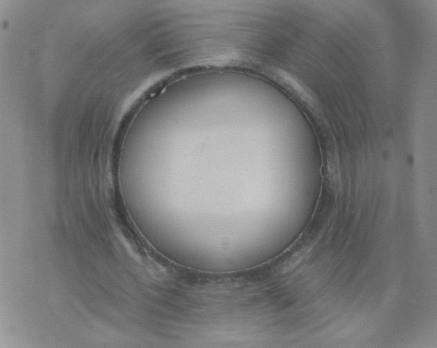 X0000074320532200609152034