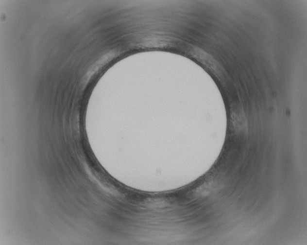 X0000074320534200609152034