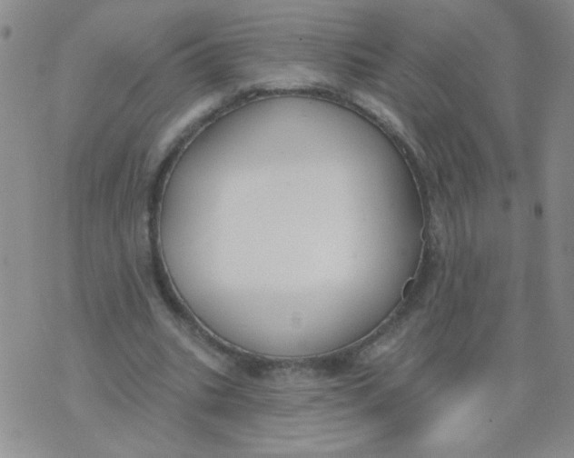 X0000074320535200609152034