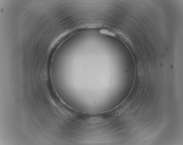 X0000074320536200609152034