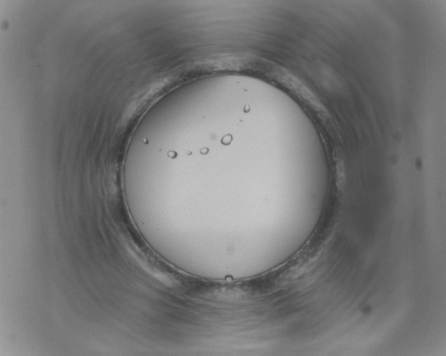 X0000074320537200609152034