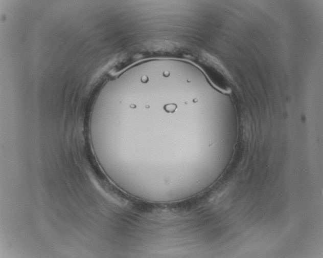 X0000074320538200609152034