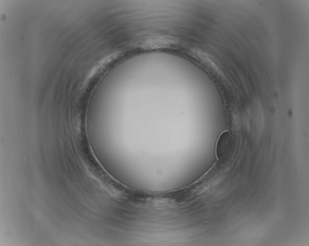 X0000074320539200609152034