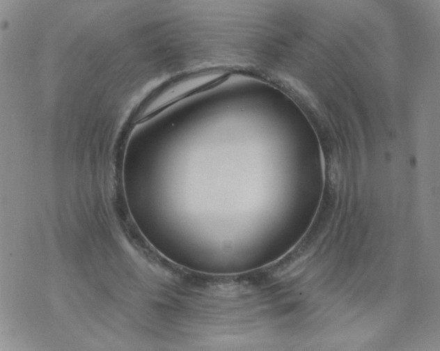 X0000074320540200609152034