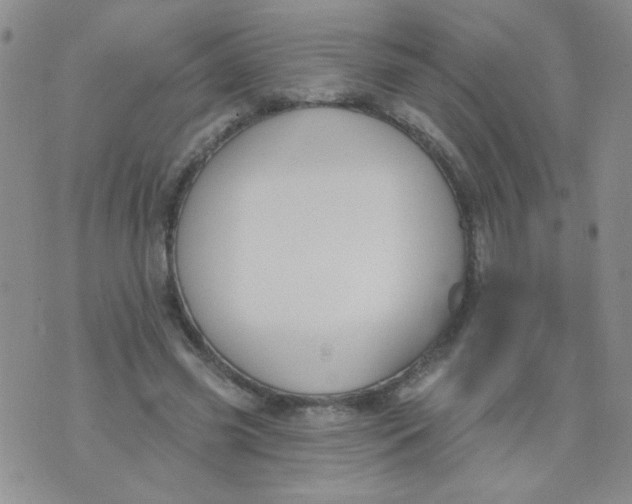 X0000074320541200609152034