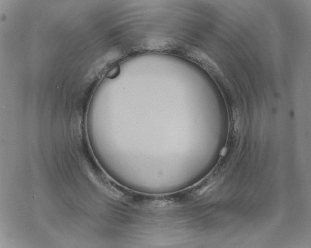 X0000074320542200609152034