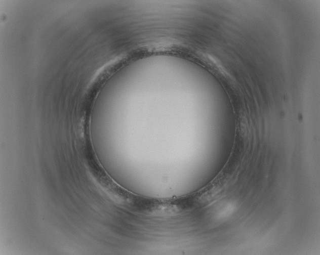 X0000074320543200609152034