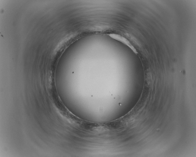 X0000074320544200609152034