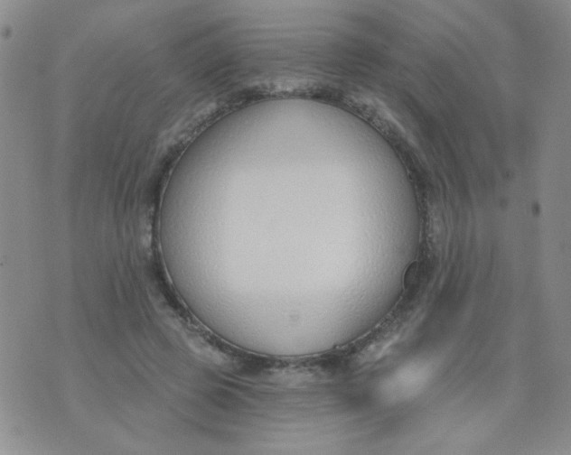 X0000074320545200609152034