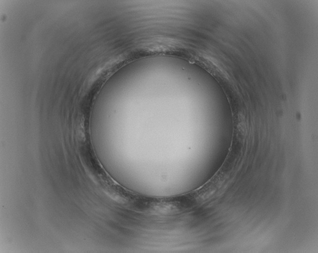 X0000074320547200609152034